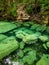 Sacred cenote azul in Tulum, Yucatan Peninsula, Mexico