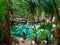 Sacred cenote azul in Tulum, Yucatan Peninsula, Mexico