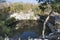 Sacred cenote at Chichen Itza