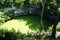 The Sacred cenote in Chichen Itza, Mexico