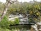 The Sacred Cenote refers to a noted cenote at the pre-Columbian Maya archaeological site of Chichen Itza, in the northern YucatÃ¡n