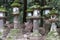 Sacred Deer and Ancient Lanterns at Nara Park