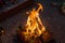 Sacred fire burning during hindu religious rituals in local bengali culture. all the essential elements of puja are in the