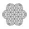 Sacred geometry flower of life circle vector mandala coloring book