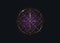 Sacred Geometry gold symbol, Seed of life sign. Geometric mystic luxury purple mandala of alchemy esoteric Flower of Life. Golden