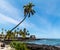 The Sacred Hale o Keawe Heiau And The Black Lava Shoreline