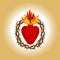 Sacred Heart of Jesus Christ, Lord and Savior of the world. Cross in the flame of the Holy Spirit, crown of thorns and holy blood