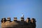 SACRED IBIS SITTING ON TOP OF CONCRETE TOWER AGAINST THE SKY