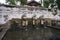 Sacred pool in Goa Gajah