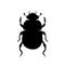 Sacred scarab beetle