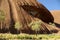 Sacred site on Uluru, Australia