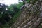 Sacred steps in the Shinto shrine