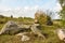 Sacred stones in the area of the village of Krasnogorye in Russia