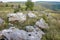 Sacred stones in the area of the village of Krasnogorye in Russia