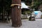 The sacred tree and Shimenawa in the Japanese shrine