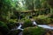 Sacred waterfall of Buraco do Padre