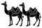 Sacrificial Camel animals for Eid-ul-Azha Vector Illustration Silhouetted on white background