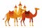 Sacrificial Camel animals for Eid-ul-Azha vector illustration on white background