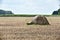 Sacrificial stone near Pustow in Mecklenburg-Vorpommern, Germany