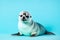 Sad baby seal lying on ground - Generative AI