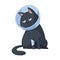 Sad black cat with a bandaged paw in a veterinary cone collar. Concept illustration of providing first aid to pets