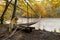 Sad Dog On The Bridge. Dog That Looks Like A Labrador, Stands On The Edge Of Iron Suspension Bridge Over Mountain River