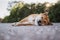 Sad dog close rest landscape, chilling shiba inu calm leisure on park, pet relaxing lies on nature, animal relax holiday vacation
