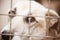Sad eyes of a stray dog behind bars. Dog shelter. Portrait of a purebred dog