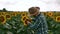 Sad farmer checking the sunflower