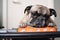 sad French bulldog on weight scale. Generative AI