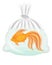 Sad goldfish in a transparent bag