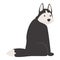 Sad husky icon cartoon vector. Cute wolf