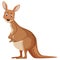 Sad kangaroo standing on white background