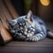 Sad kitten lying on wooden bench. Generative AI