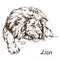 Sad Lion lying portrait, hand drawn doodle