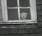 Sad lonely teddy at window