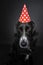 Sad looking black dog wearing a red party hat with polka dots.