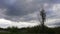 Sad nature view forest with evening cloud autumn climate stay alone in field.