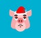 Sad Santa Pig Emoji. sorrowful Piggy. Farm animal. Christmas ava