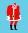 Sad Santa Pig Emoji. sorrowful Santa. Piggy Christmas avatars