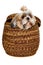 Sad shih tzu dog in a basket on a clean white background