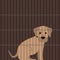 sad sitting puppy cage animal shelter vector illustration