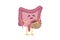 Sad suffering sick intestine colon cancer pain cartoon character. Abdominal cavity digestive and excretion human