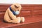 Sad teddy bear toy wearing disposable medical protective face mask sitting on vintage brown bench. Stay at home and quarantine