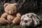 A sad teddy puppy lies forgotten on a moss, next to it is a teddy bear.