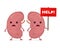 Sad unhealthy sick kidneys vector