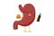 Sad unhealthy stomach character hold in hand fast food soda beverage bottle and burger. Human body digestive system