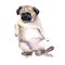 Sad Watercolor Dog. Pug dog illustration. Template for gift certificate. Mock up.International homeless animals day.Pets adoption