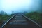 Sad wet dog walking on railway bridge through foggy jungle forest, Ella Sri Lanka