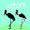 saddle -billed stork vector illustration style Flat black